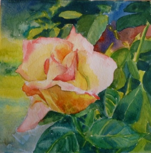 Rose watercolor, 6x6 inches